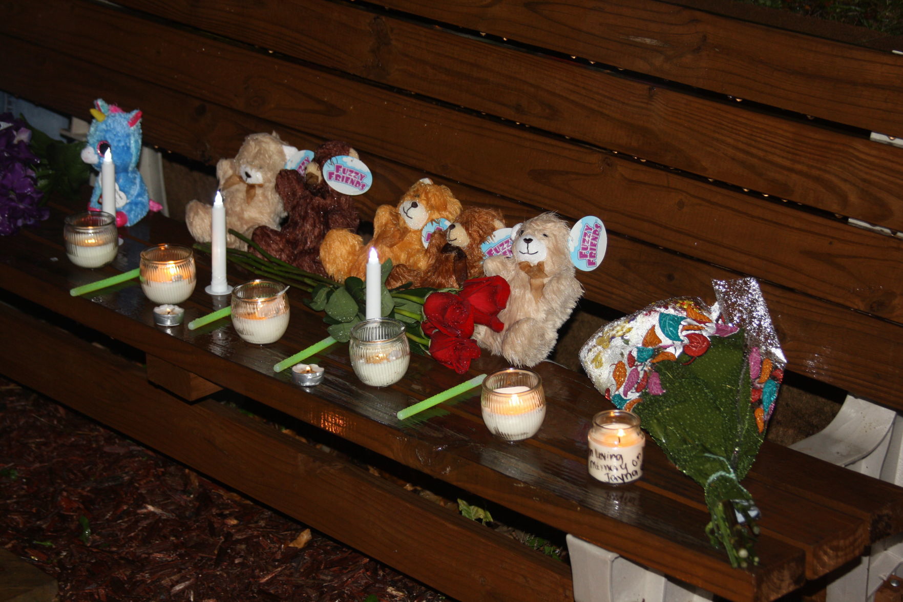 Candlelight vigil